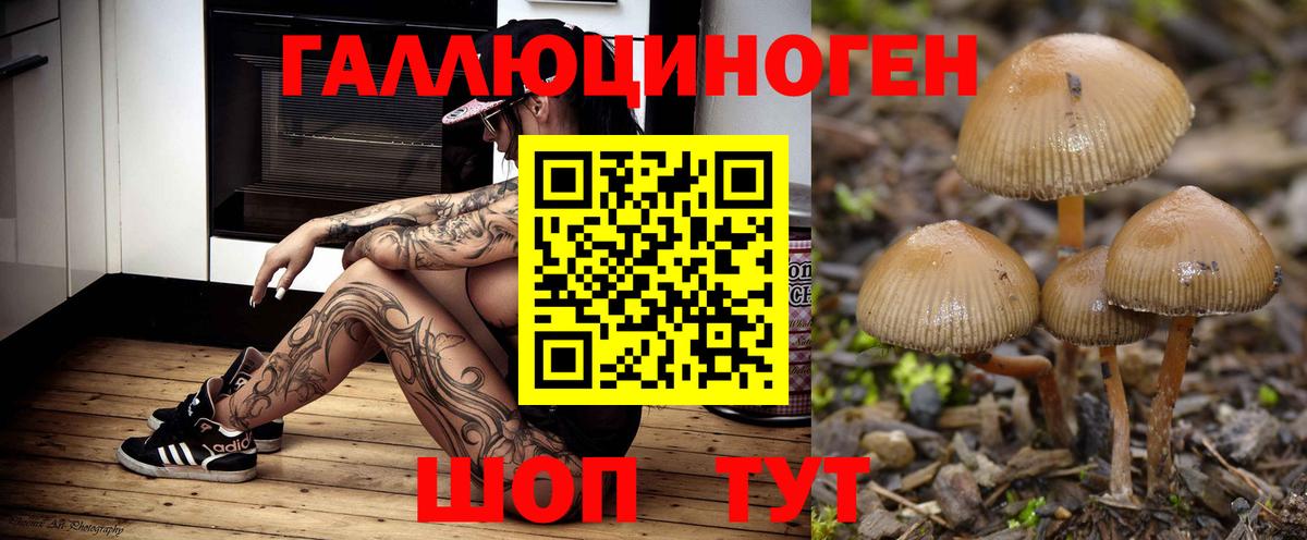 Ивантеевка  Псилоцибиновые грибы мухоморы  Вход с VPN 